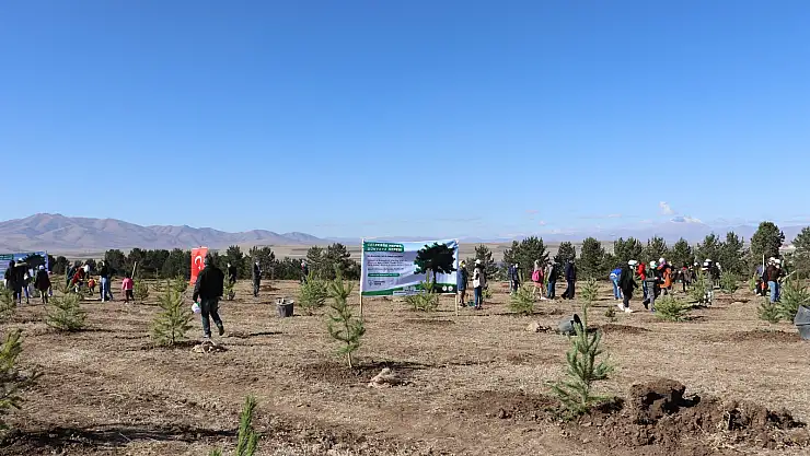 Ağrı'da binlerce fidan toprakla buluştu