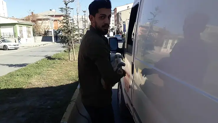 Ağrı'da çarptığı kediyi kucağına alarak veterinere götürdü