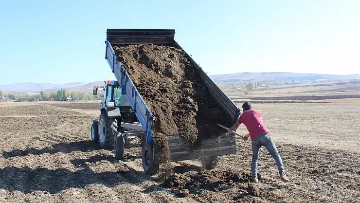 Ağrılı çiftçiler topraktan verim almak için hayvan gübresi kullanıyor