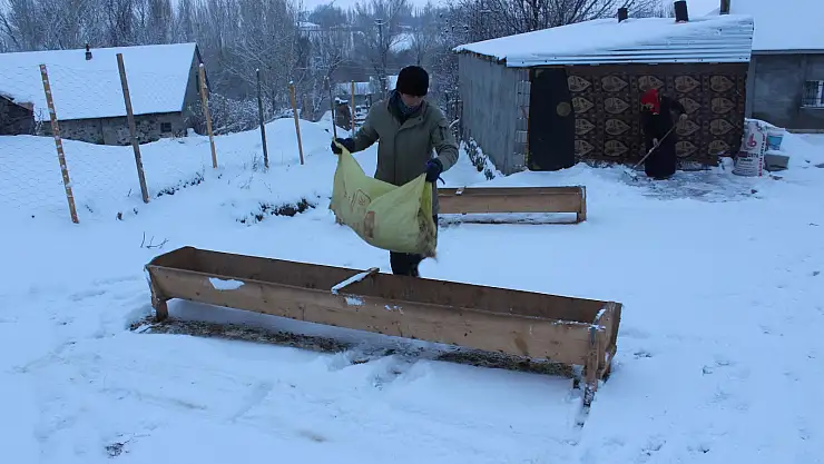 Ağrı'da vatandaşlar güne karla uyandı