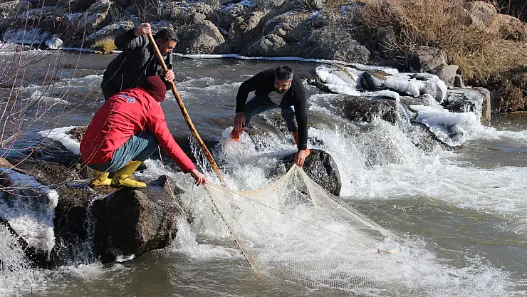 Ağrı'da balıkçılar ilk mesailerine başladı