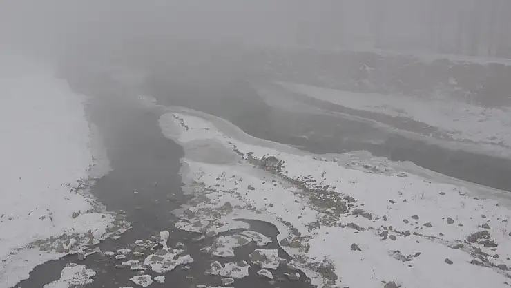 Ağrı'da sis etkili oldu