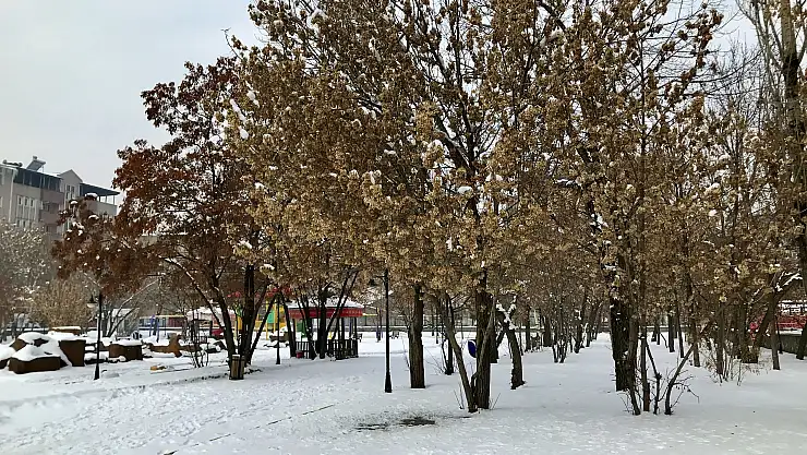 Ağrı soğuk havalarda zirvedeki yerini koruyor