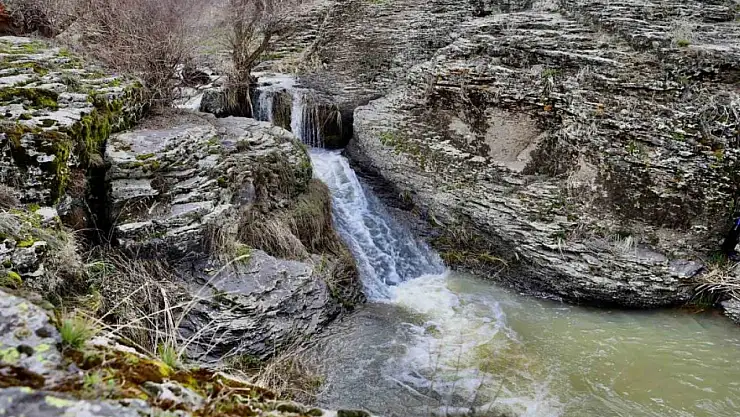 Bekiran Şelalesi: Ağrı'nın Bahar Coşkusuyla Yeşeren Saklı Cenneti!