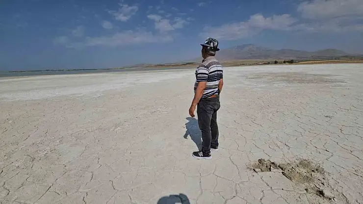 Adilcevaz'daki Arin Gölü allı turnalarıyla kuş cennetine dönüştü