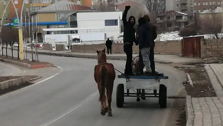Ağrı'da at arabacılığı bitme noktasında