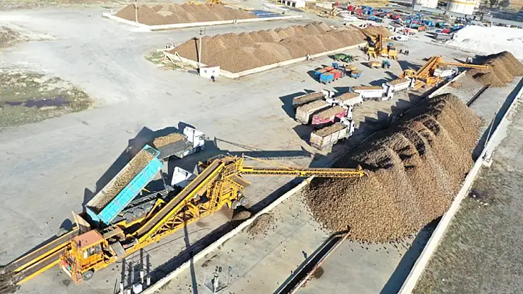 Ağrı'da ayçiçeği ve şeker pancarı üretimi kent ekonomisine can katıyor