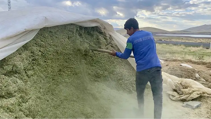 Ağrı'da besiciler zorlu kışa hazırlanıyor