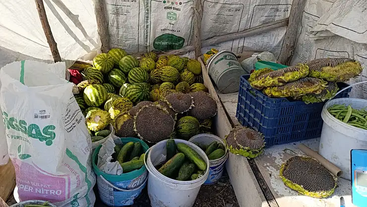 Ağrı'da bostan ürünleri vatandaşla buluştu