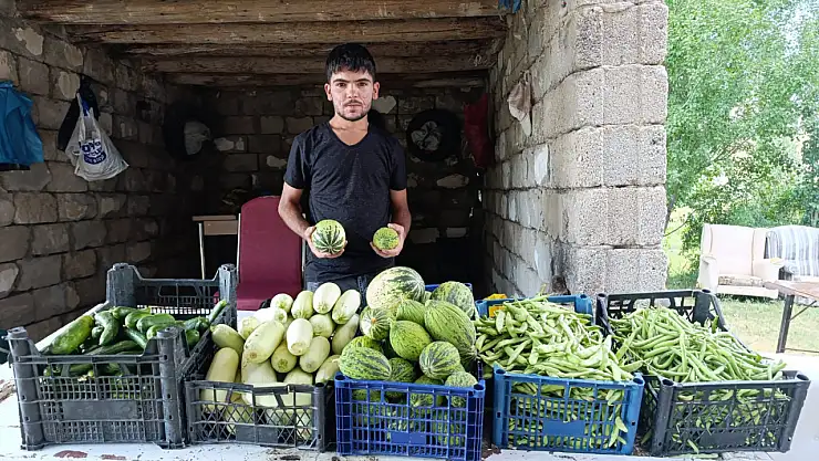 Ağrı'da bostandan gelen doğal ürünler sofraları süslüyor