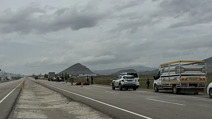 Ağrı'da büyükbaşlara tır çarptı, sonrası yolda şaşkınlık yarattı