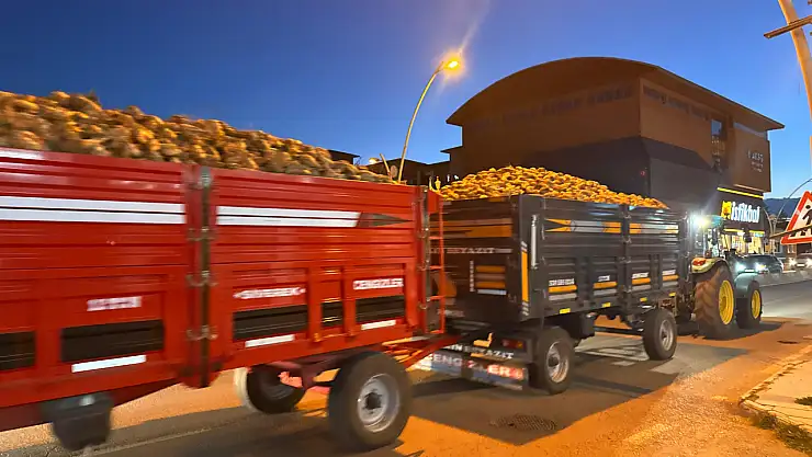 Ağrı'da çiftçinin umudu, sürücülerin kabusu oldu