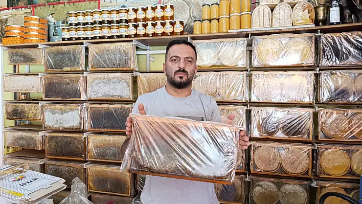 Ağrı'da doğal bal hasadı başlıyor