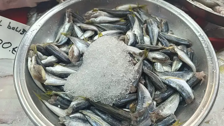 Ağrı'da Ekim ayıyla birlikte balık sezonu hareketlendi