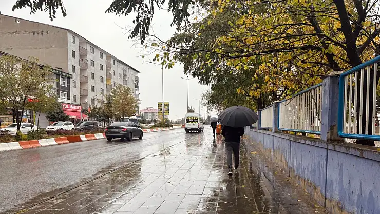 Ağrı'da gece başlayan yağmur sabah da sürdü