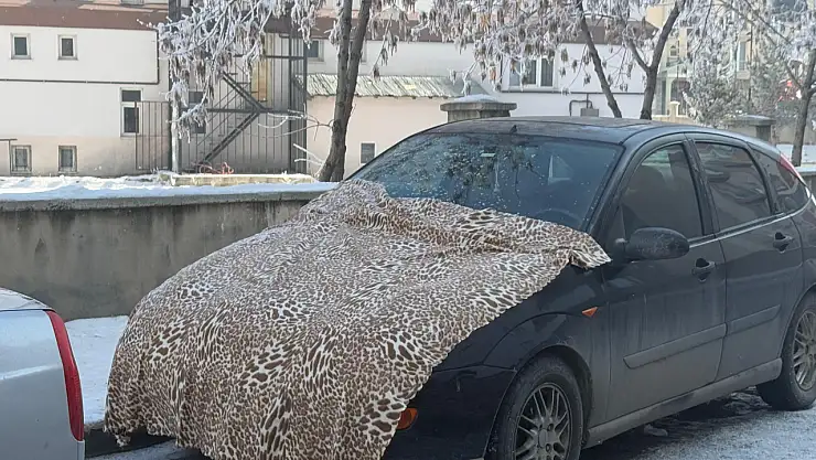 Ağrı'da gündüz vakti bile araçlar soğuktan battaniyelerle korunuyor