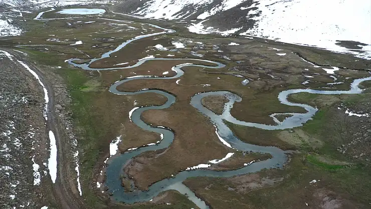 Ağrı'da iki mevsim bir arada: Dağda kar, ovada bahar