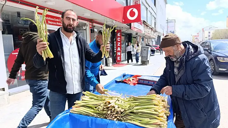 Ağrı'da ışkın sezonu başladı tezgâhlar yeşile büründü