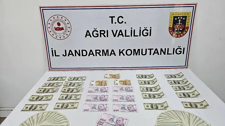 Ağrı'da jandarmadan mali suç operasyonu: Şüpheli gözaltına alındı