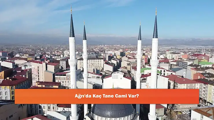 Ağrı'da Kaç Tane Cami Var?