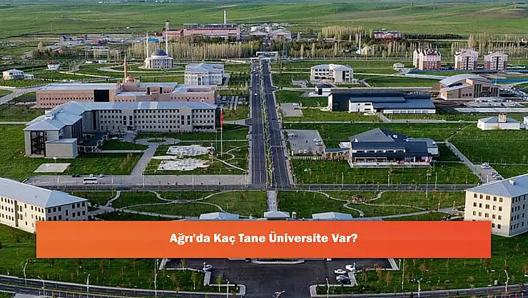 Ağrı'da Kaç Tane Üniversite Var?