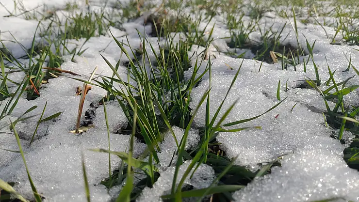 Ağrı'da kar geçişleri tarım arazilerini beyaz örtüyle kapladı
