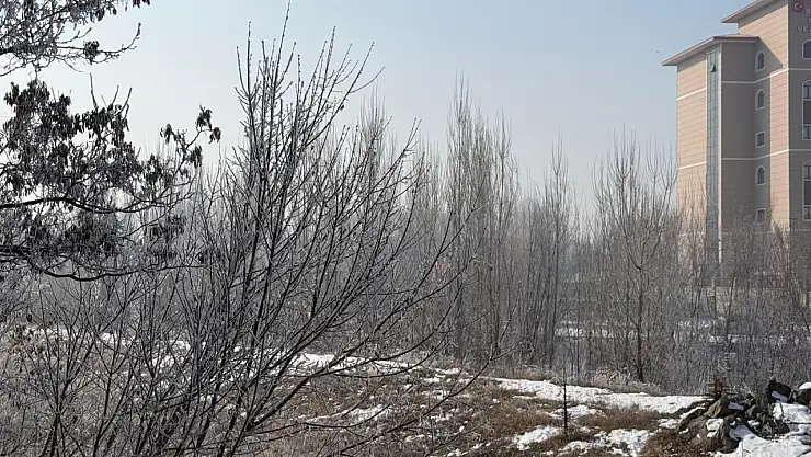 Ağrı'da kırağı ve buzlanma günlük hayatı zorlaştırıyor