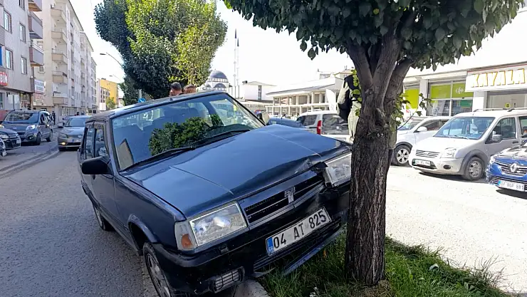 Ağrı'da kontrolden çıkan otomobil refüje çıktı