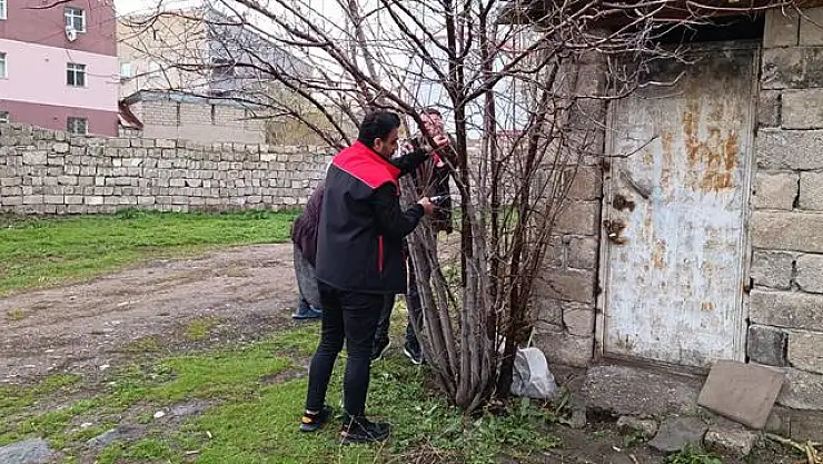 Ağrı'da meyve üreticilerine budama ve aşılama eğitimi
