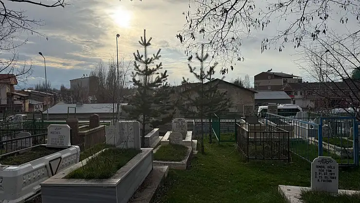 Ağrı'da mezarlıklarda toprak havalandırıldı çiçek tohumları serpildi