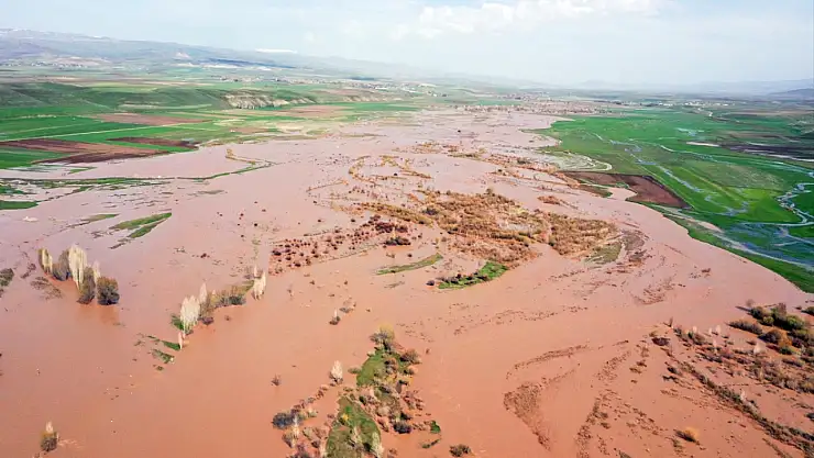 Ağrı'da Murat Nehri taştı tarım alanları suya teslim oldu