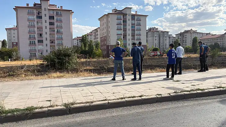 Ağrı'da otluk alanda çıkan yangın mahalleliyi endişelendirdi