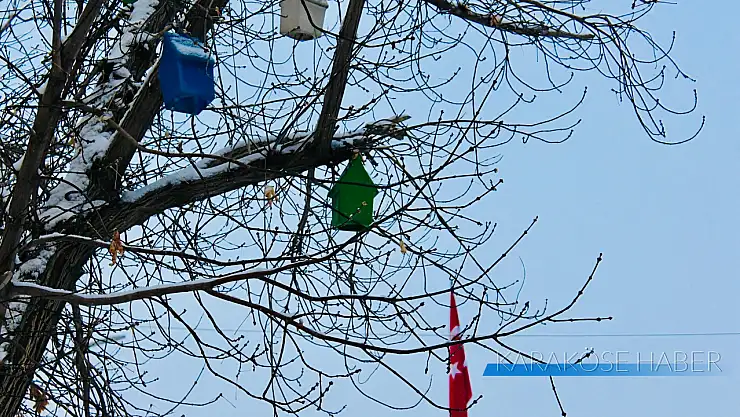 Ağrı'da renkli kuş yuvaları Abide Meydanı'na canlılık kattı