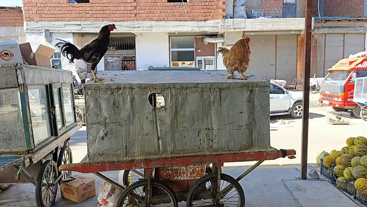Ağrı'da sabahın ilk ışıklarıyla pazar mesaisi başladı