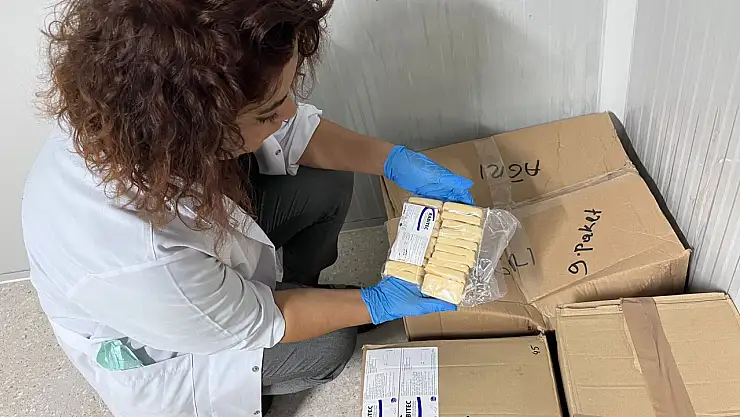 Ağrı'da sahipsiz hayvanlara kuduz aşısı uygulanıyor