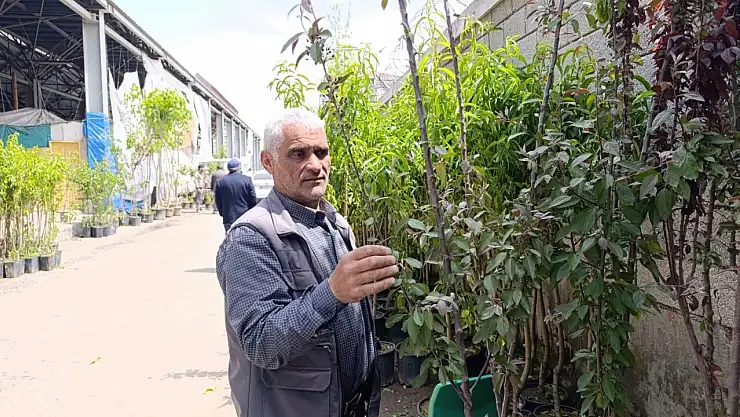 Ağrı'da sebze pazarı meyve bahçesine döndü