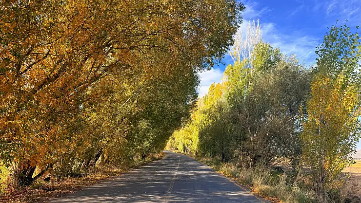 Ağrı'da sonbaharın en güzel hali göz kamaştırdı