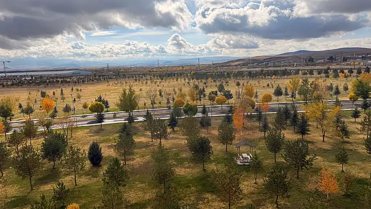 Ağrı'da sonbaharın son renkleri yerini kışa bırakıyor