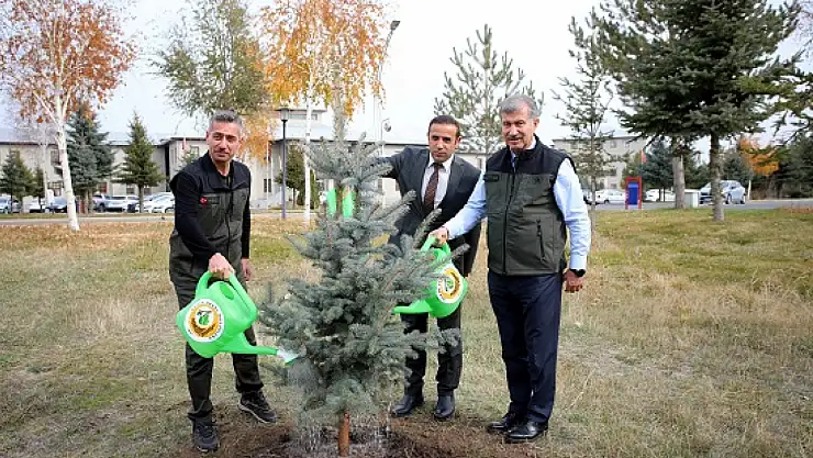 Ağrı'da üniversite kampüsünde büyük ağaçlandırma projesi başlıyor