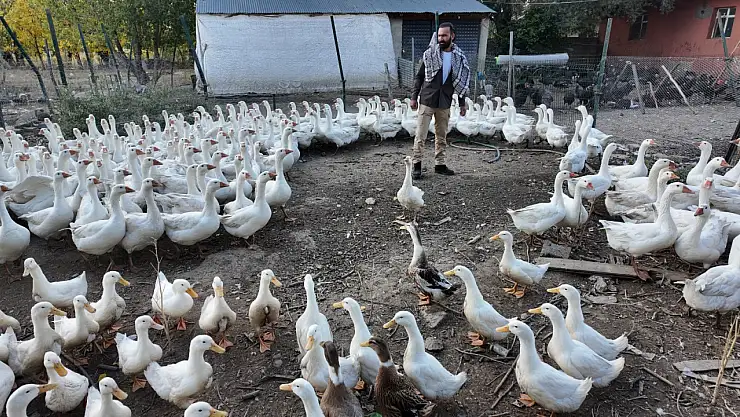 Ağrı'da üretim aşkıyla kurulan çiftlikte tebessüm ettiren manzara