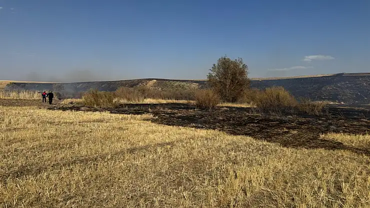 Ağrı'da yine tarla yangını! Rüzgâr alevleri büyüttü