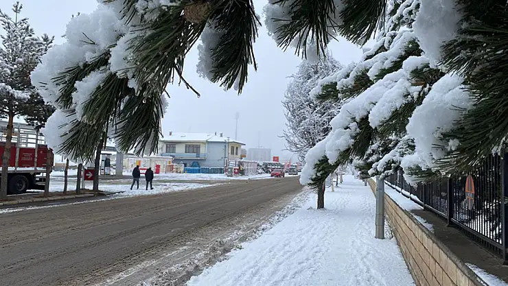 Ağrı'dan Tunceli'ye Doğu Anadolu karla uyandı