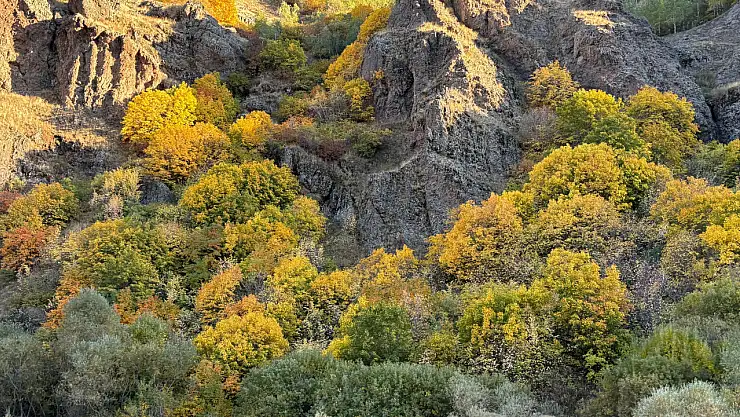 Ağrı-Erzurum kara yolu sonbahar renklerine büründü