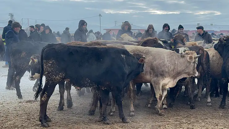 Ağrı Hayvan Pazarı'nda dondurucu soğuklar zorluyor