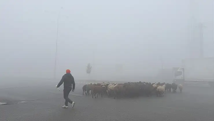Ağrı–Iğdır karayolunu yoğun sis kapladı