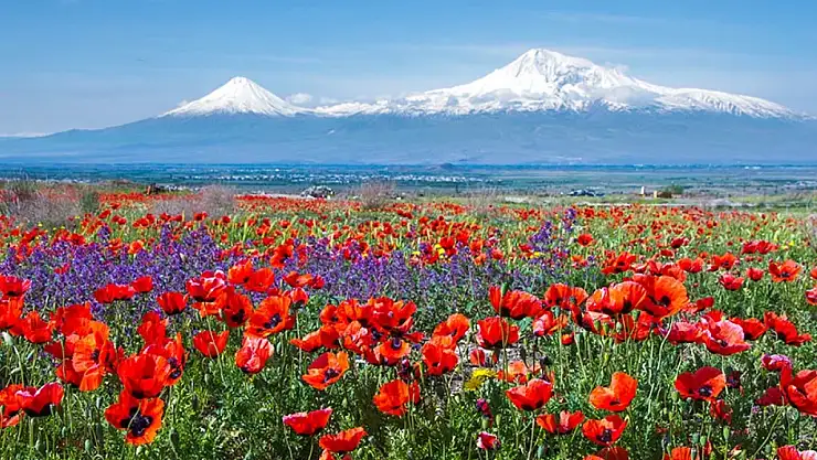 Ağrı'nın Görkemli Doğası: Dağlardan İlham Alan Keşif Noktaları
