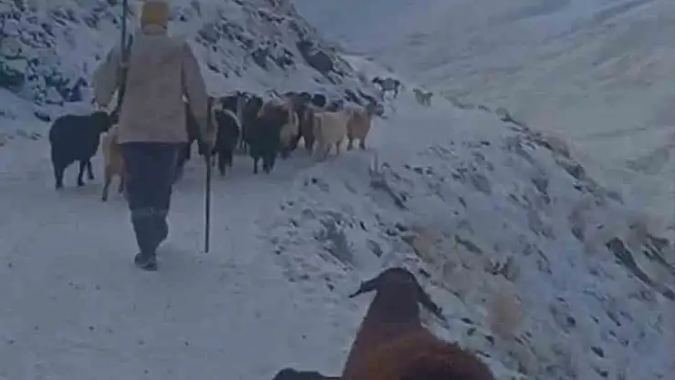Ağrı'nın ilçelerinde hayvanlarını otlatmaya çıkaran köylüler tipiye yakalandı