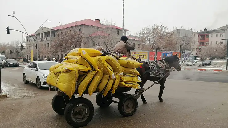 Ağrı'nın keskin soğuğunda yük taşımacılığı at arabalarına emanet