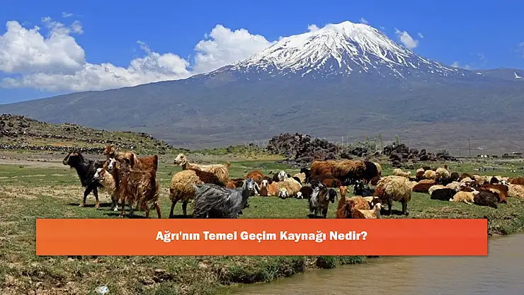 Ağrı'nın Temel Geçim Kaynağı Nedir?