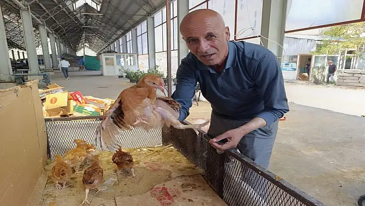 Ağrı pazarında civciv ve ördek yavruları ilgi görüyor